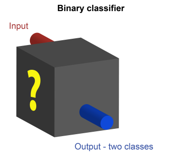 A binary classifier with input and output data.